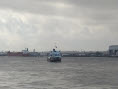 01 Liverpool - Royal Iris 1.jpg